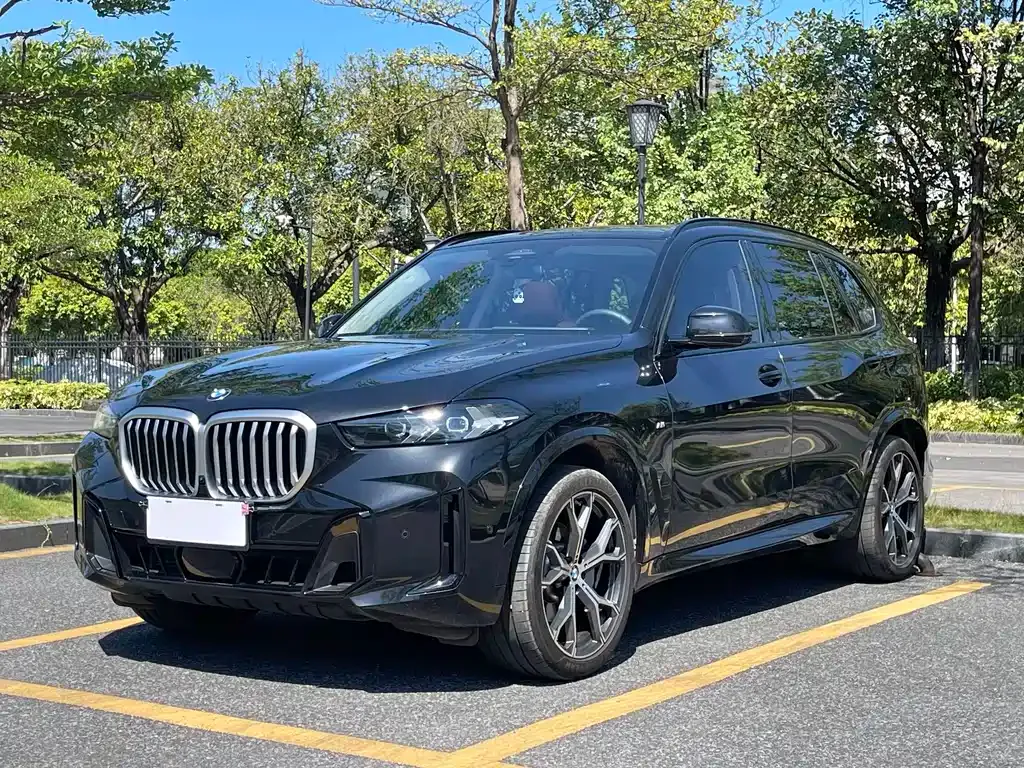 BMW X5 xDrive 30Li Premium M Sport Night 1