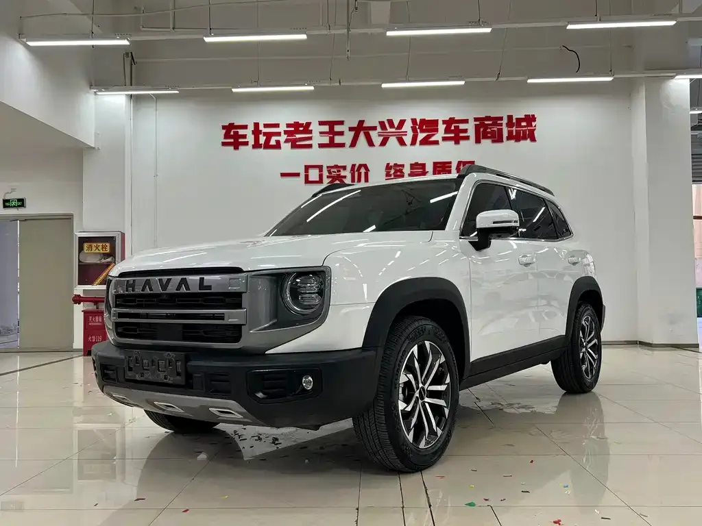 Haval Big Dog 1.5T DCT Border Collie 1