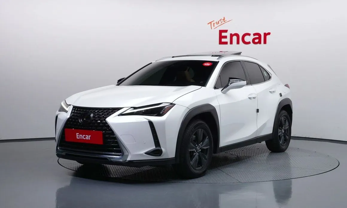 Lexus UX 2.0 2WD 1