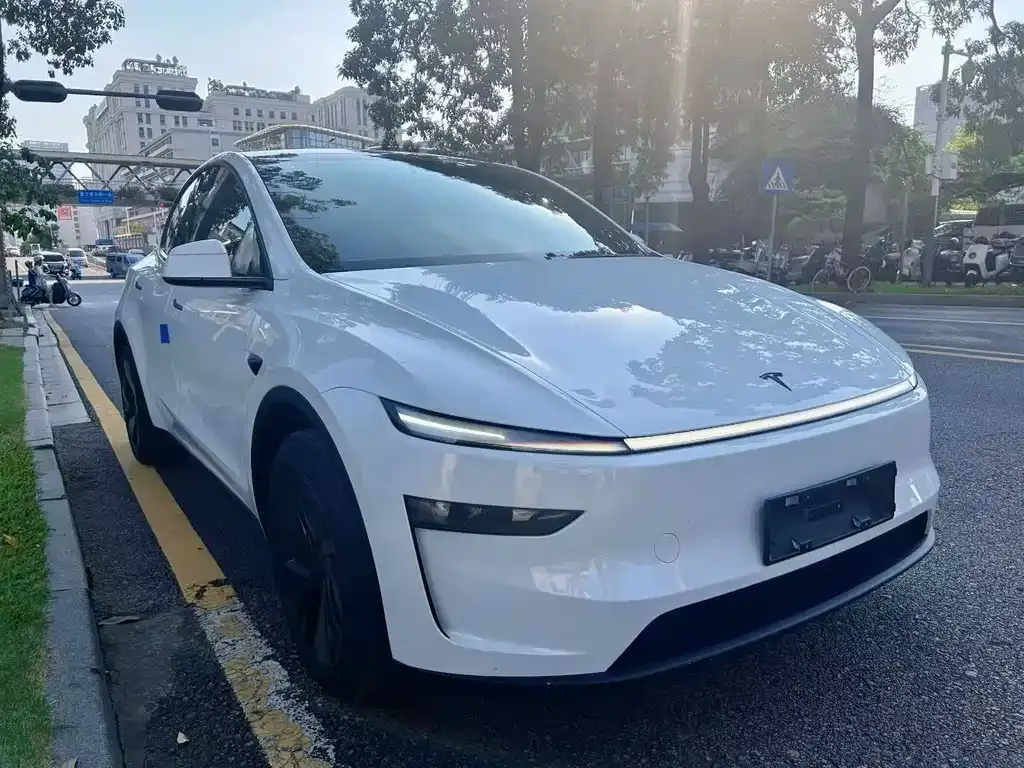 Tesla Model Y RWD 1
