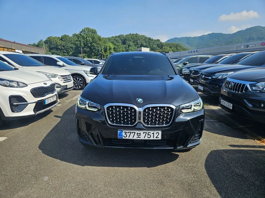 BMW X4 xDrive20d xLine 1