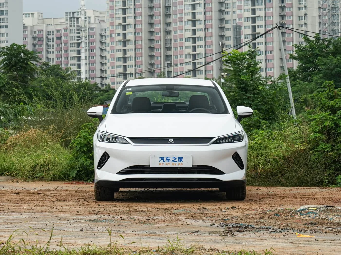 BYD Qin PLUS EV 2026 — фото 2