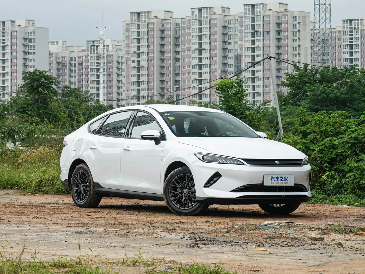 BYD Qin PLUS EV 2026 — фото 3