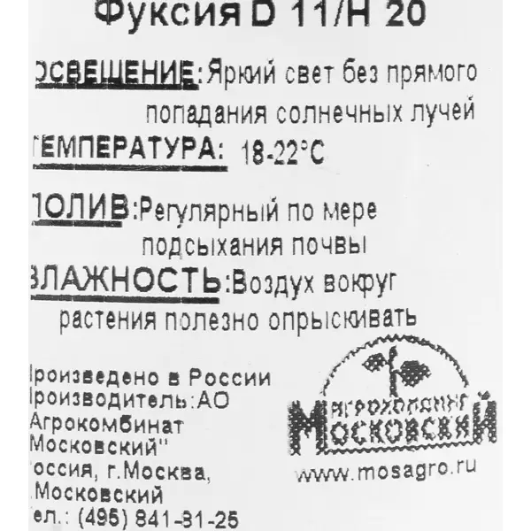 Рассада Фуксия 20x11 см
