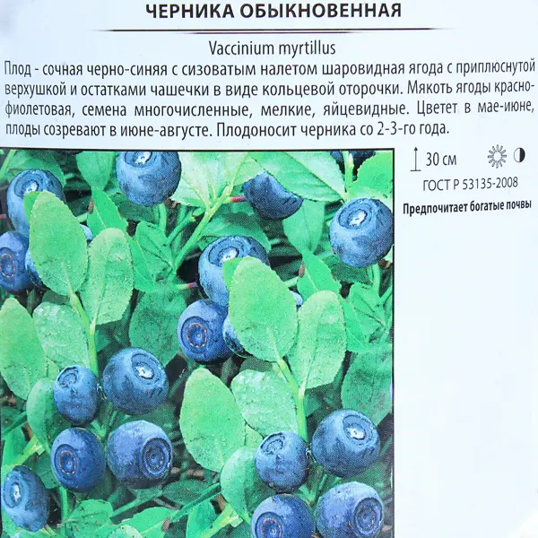 Черника обыкновенная, контейнер 2 л