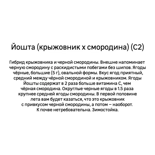 Йошта (V2-3л)