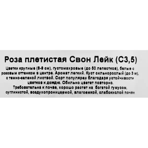 Роза в сортах (V3л)