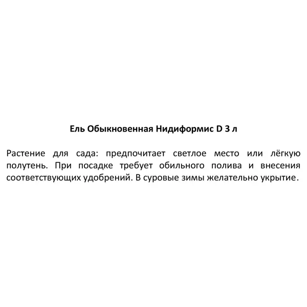Ель обыкновенная Нидиформис h20 - 40 см