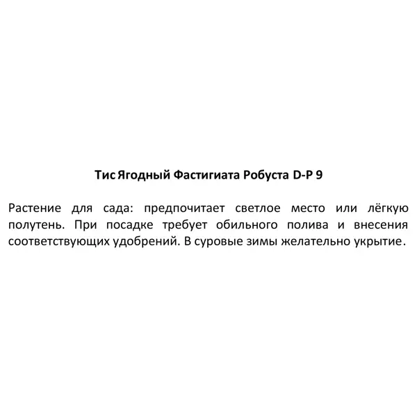 Тис ягодный Фастигиата Робуста ø9 h15 см