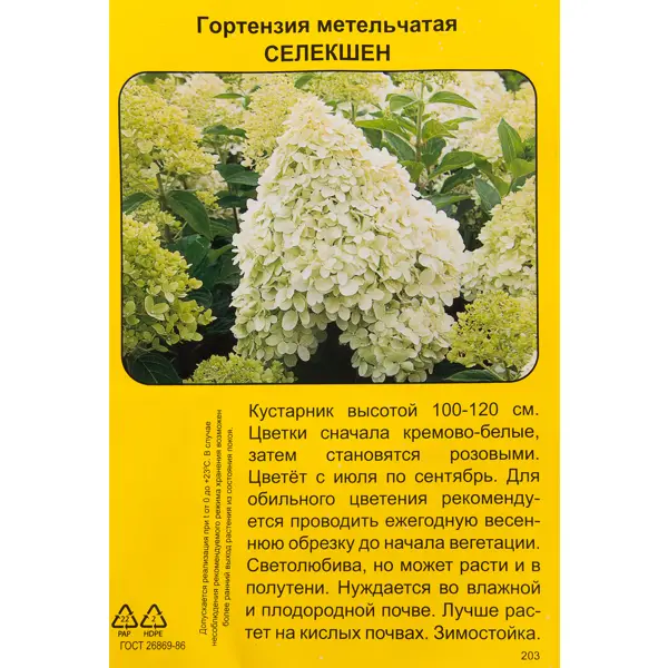Гортензия метельчатая Селекшен h40 см