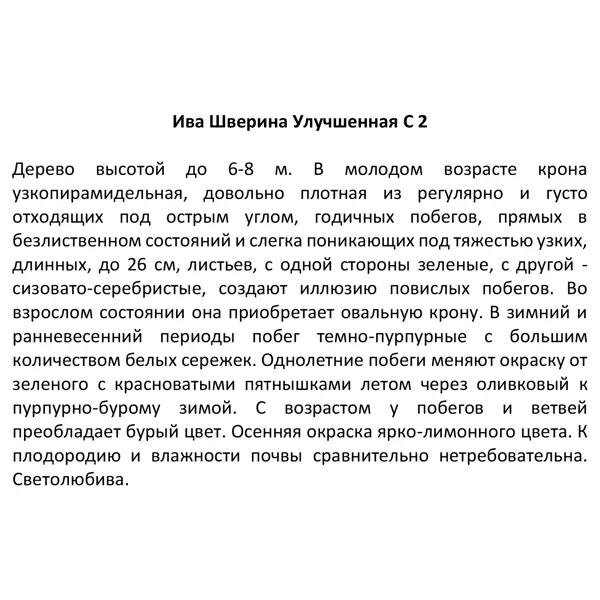 Ива в сортах ø18 h80 см