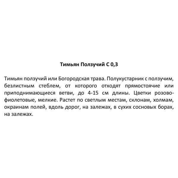 Тимьян Ползучий h15 см