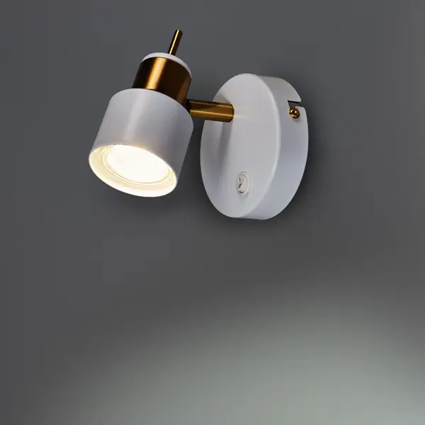 Спот поворотный Arte Lamp Almach 1 лампа GU10 3 м² цвет белый