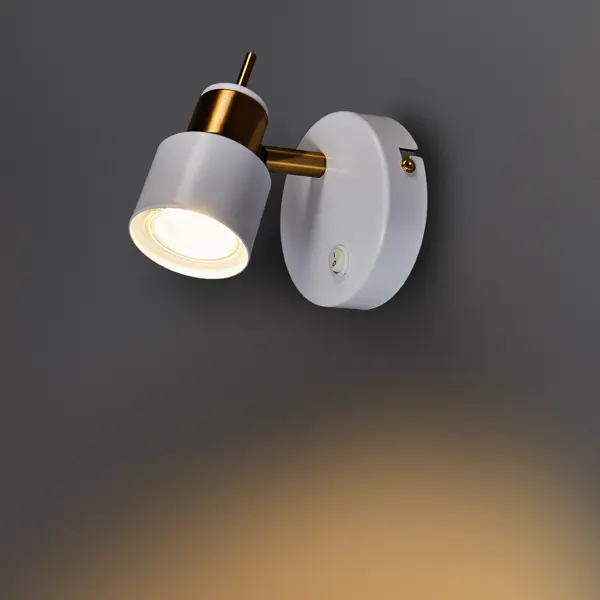 Спот поворотный Arte Lamp Almach 1 лампа GU10 3 м² цвет белый