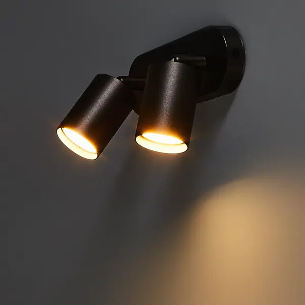 Спот поворотный Arte Lamp Aquarius 2 лампы GU10 4 м² цвет черный
