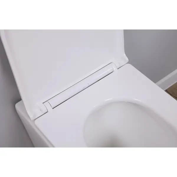 Унитаз подвесной Alcora Encanto LT-046E-R 49530 безободковый с сиденьем микролифт