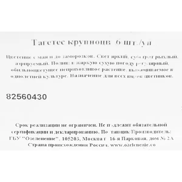 Тагетес крупноцветковый, 6 шт.