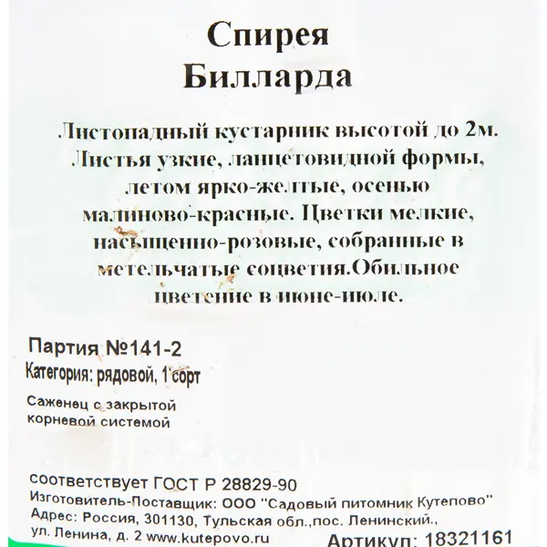 Спирея «Билларда С2», 40 см