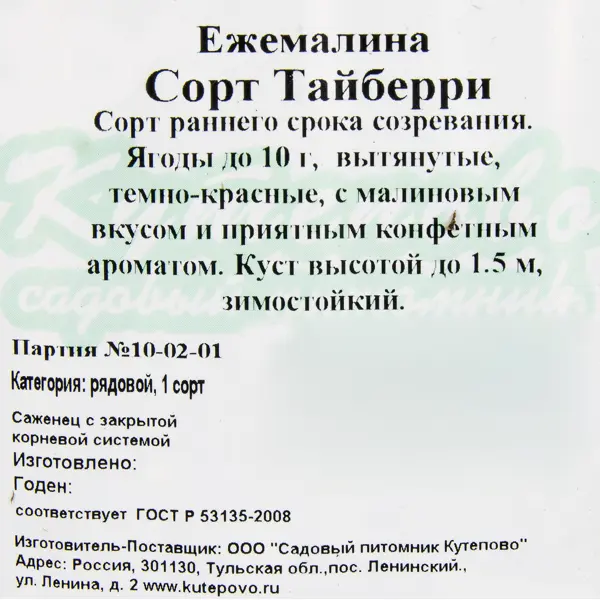 Ежемалина С1 «Тайберри» h20 (2 года)