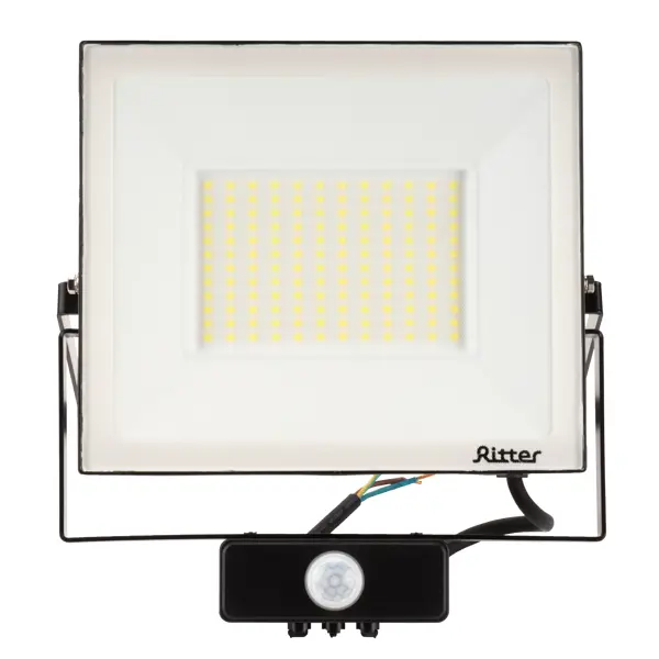 Прожектор светодиодный Ritter Profi 53424 6 100 Вт 10000 Лм 180-240 В с датчиком движения холодный свет 6500К IP65 черный