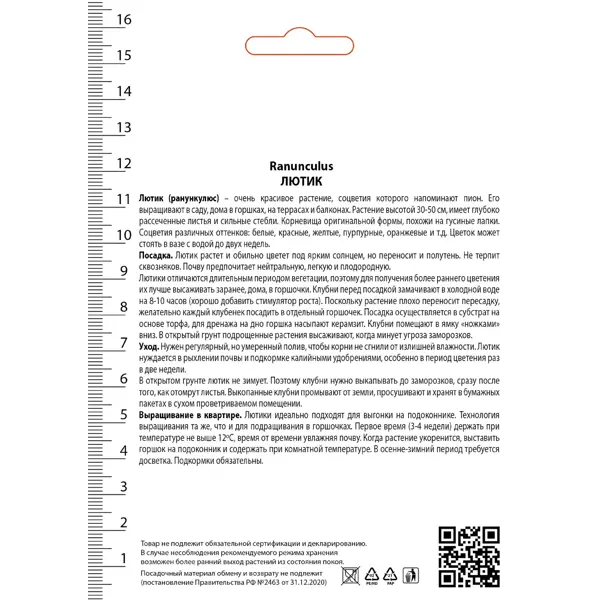 Лютик азиатский Ориндж 7/8, 10 шт.