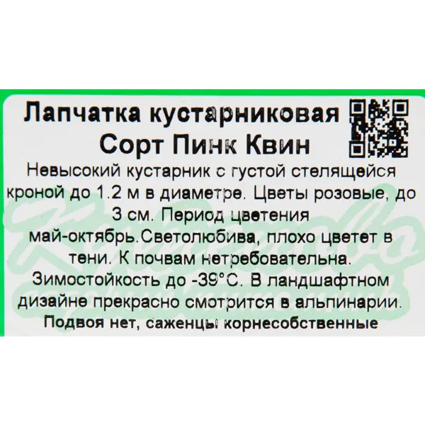 Лапчатка «Пинк Квин» 15x30 см