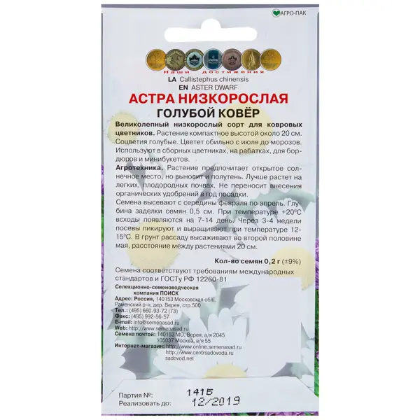 Астра низкорослая «Голубой ковёр»