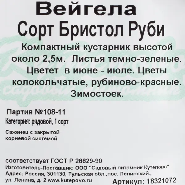 Вейгела С2, 30 см