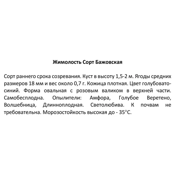 Жимолость плодовая Бажовская ø16 h50 см