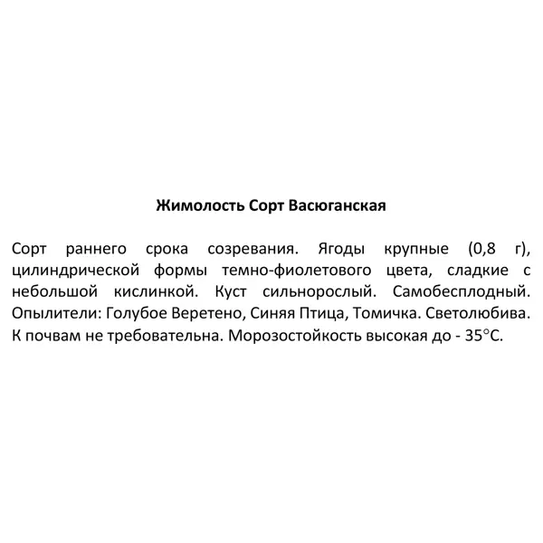 Жимолость плодовая Васюгановская ø16 h50 см