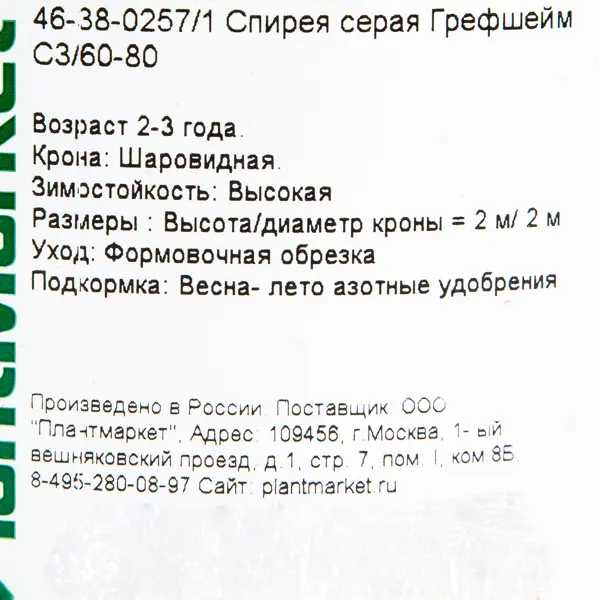 Спирея серая «Грефшейм», С3/60-80 см