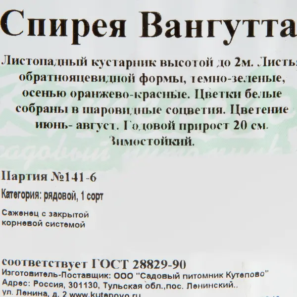 Спирея С2 «Вангутта» h40