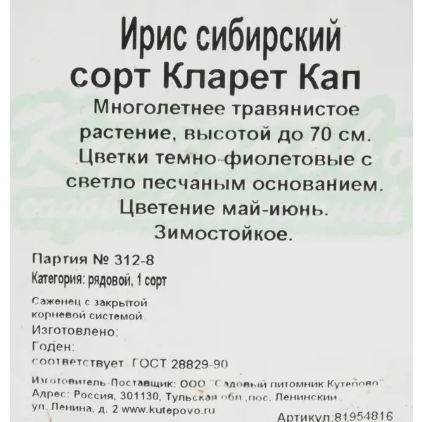 Ирис сибирский С1 «Кларет Кап»