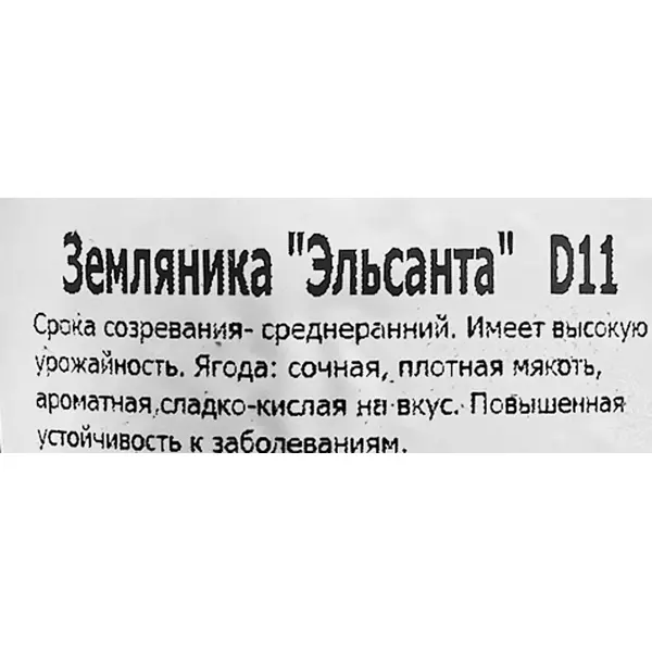 Земляника ремонтантная Эльсанта 11x15 см