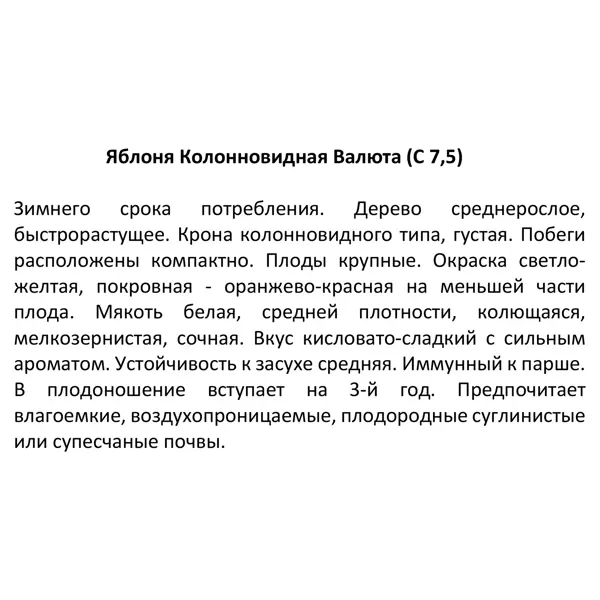 Яблоня колонновидная Валюта ø25 h100 см