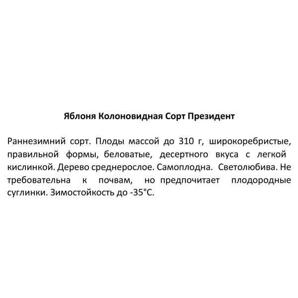 Яблоня колонновидная Президент ø25 h100 см