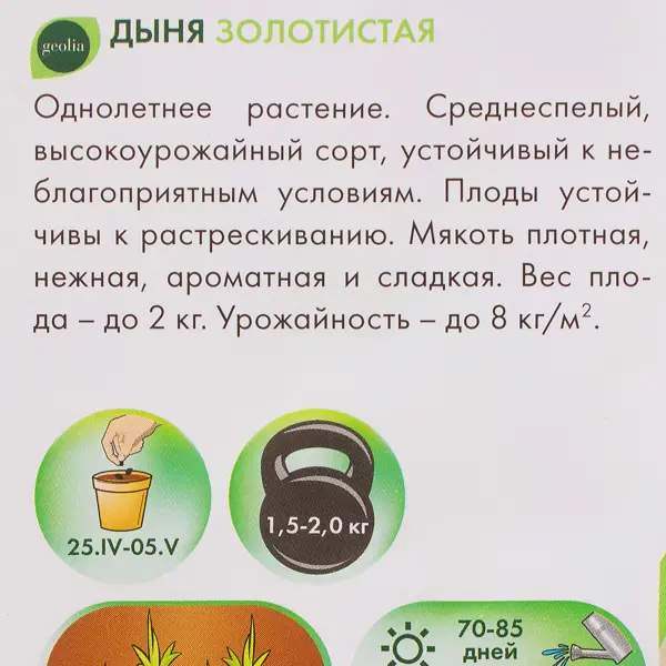 Семена Дыня Geolia Золотистая