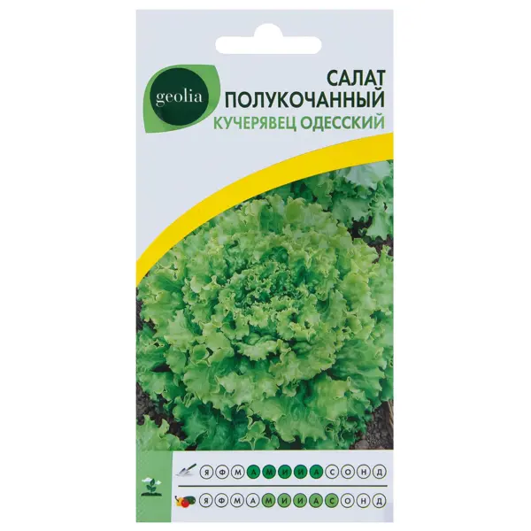 Семена Салат Geolia Кучерявец одесский