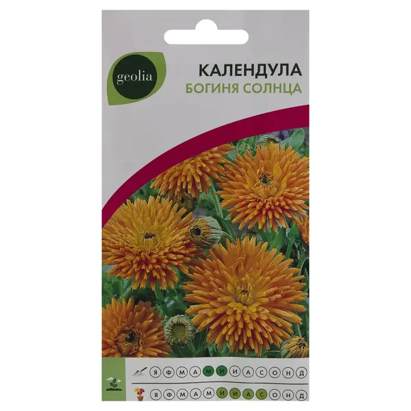 Календула Geolia Богиня Солнца