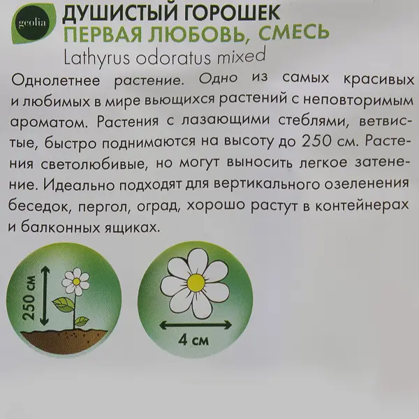 Горошек душистый Geolia Первая любовь