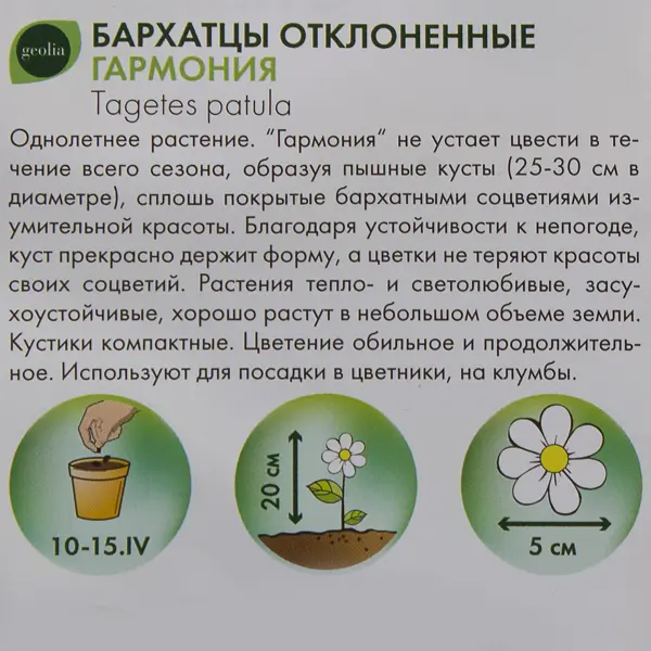 Бархатцы Geolia отклонённые Гармония