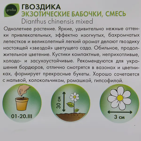 Гвоздика Geolia Экзотические бабочки
