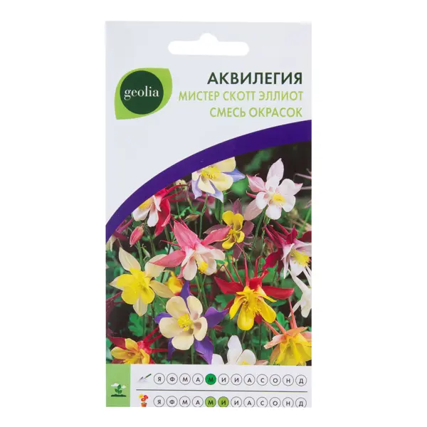 Аквилегия Geolia Мистер Скотт Эллиот