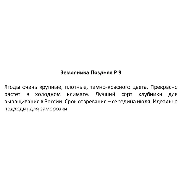 Земляника поздняя ø9 h20 см