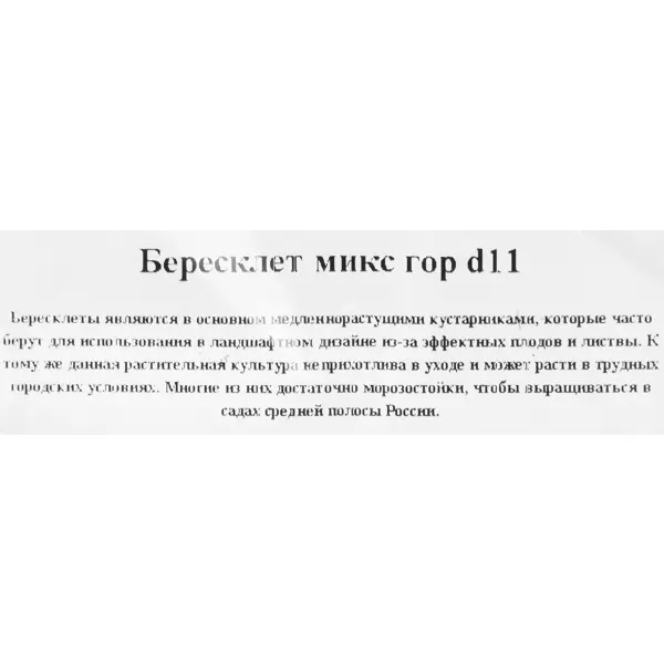 Бересклет микс горшок 11 см