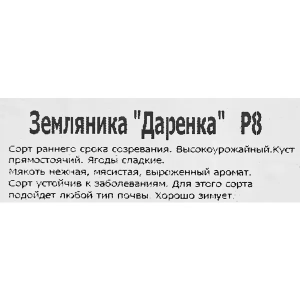 Земляника Даренка 8x7 см