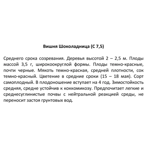 Вишня Шоколадница микс ø25 h100 см