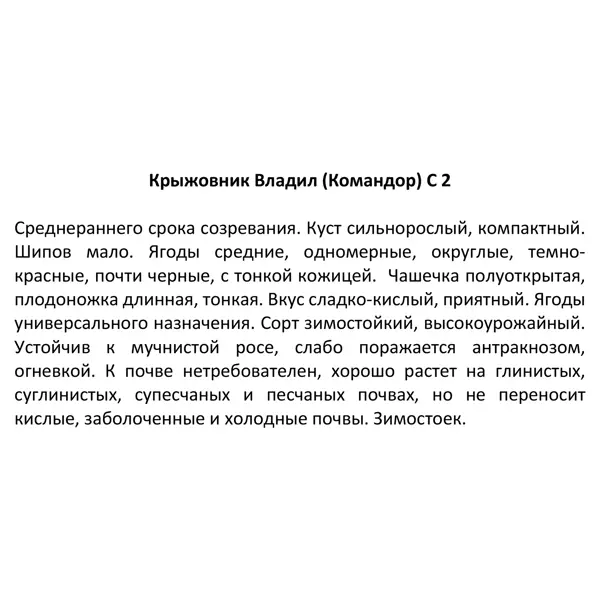 Крыжовник Владил ø17 h30 см