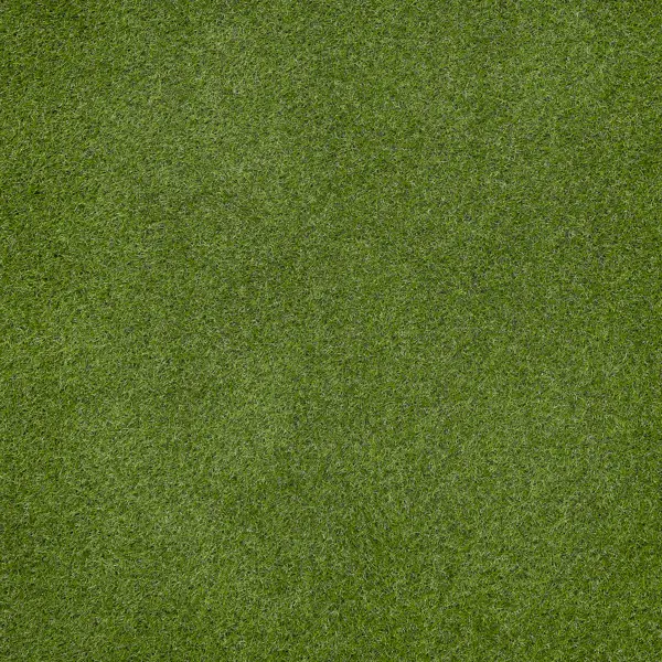 Искусственный газон «Grass» толщина 17 мм 1x2 м (рулон) цвет зеленый