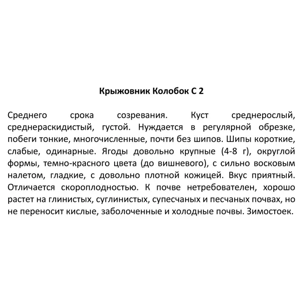 Крыжовник микс ø17 h30 см